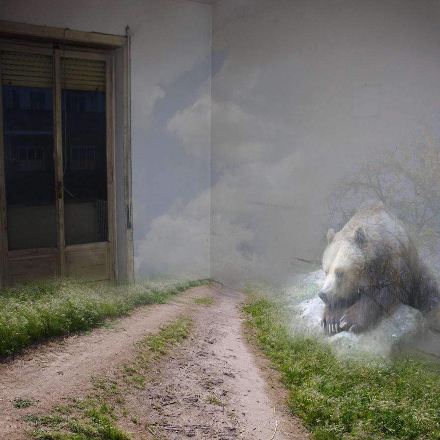 polvere (lunedì ore 19) polvere (lunedì ore 19)