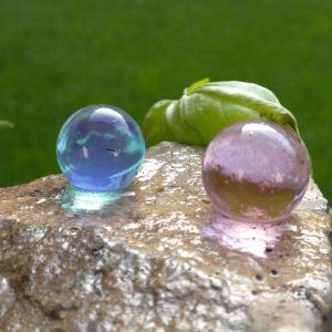 Orto d’Artista: dalla Semina al Raccolto