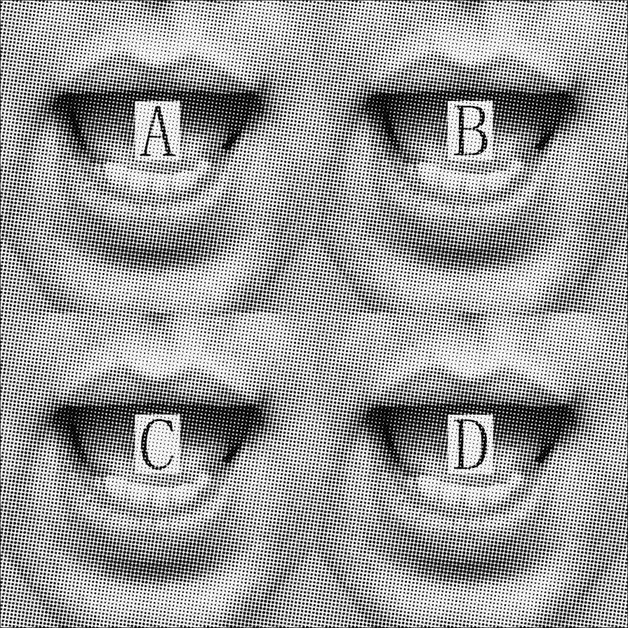 Politician (For/Media)