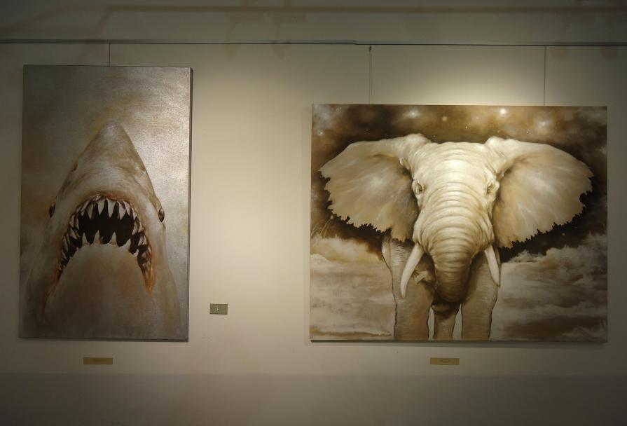 ALBAURA SHARKOZY & NOTTE AFRICANA