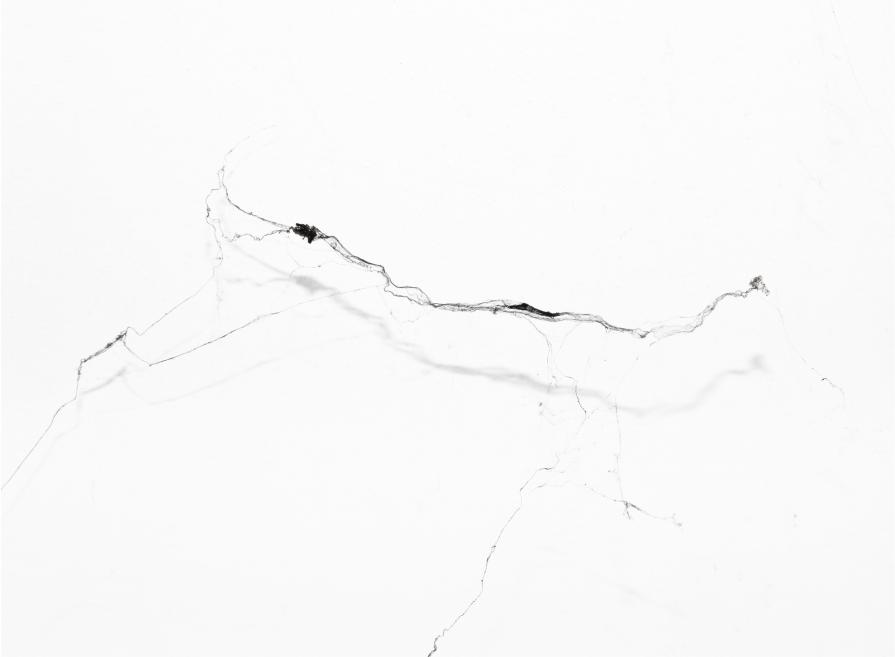 Web_2010#9 Web_2010#9