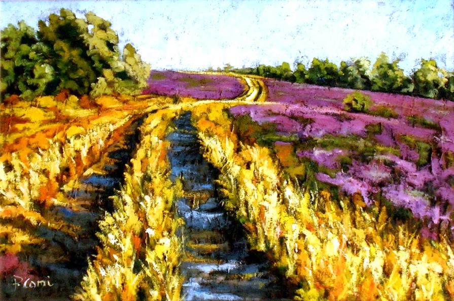 CAMPO DI LAVANDA