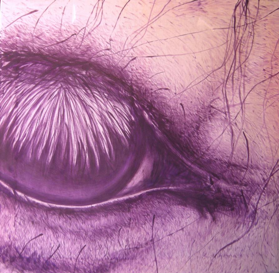 Directions 6 Directions 6