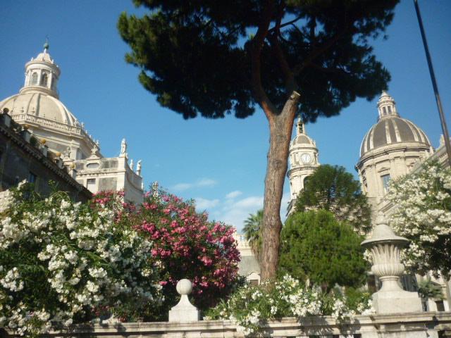 scorcio duomo catania