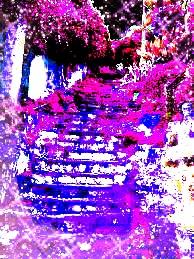 ...LE COSE SEMPLICI !!!... ...LE COSE SEMPLICI !!!...