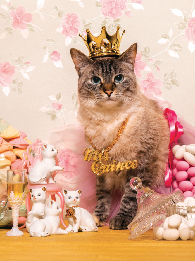 SPOILED QUINCEAÑERA