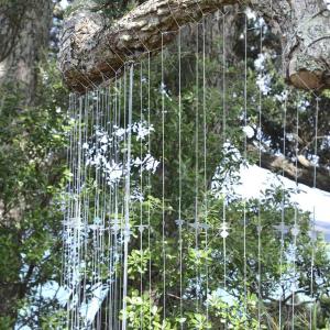 Field Notes Field Notes