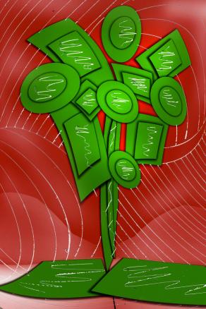 i fiori di maurino 1