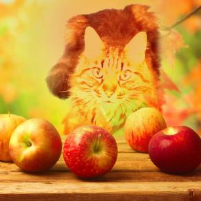 . . . fa' presto che il frutto è raro !!! . . . 