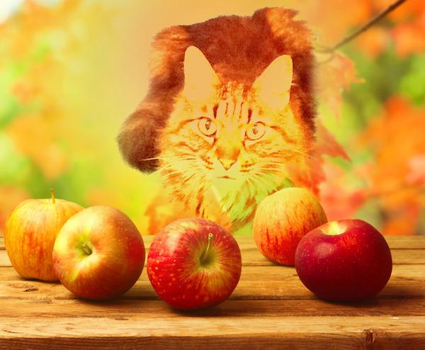 . . . fa' presto che il frutto è raro !!! . . . 