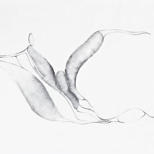 LA PIEGA 4-ambiguous inflexion 1