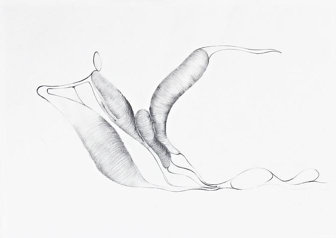 LA PIEGA 4-ambiguous inflexion 1