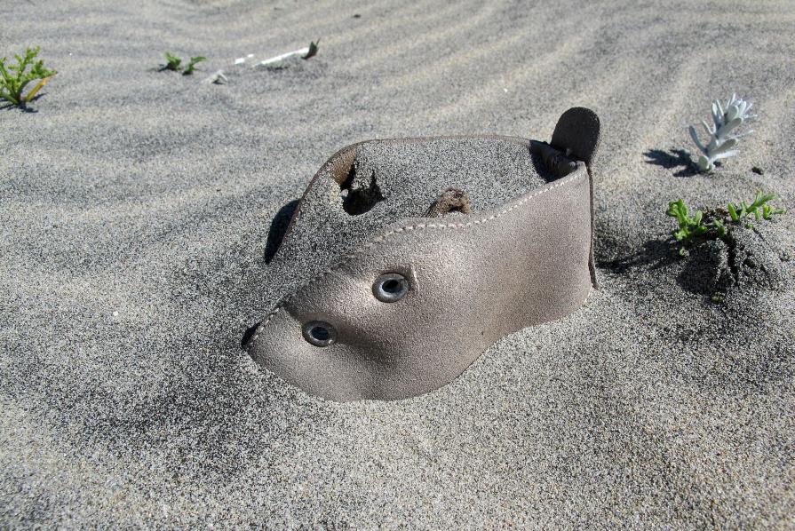 IO CAMMINO TRA LE NUVOLE