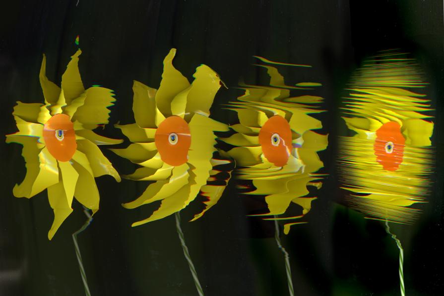 soffia che giraaaaaaaaaaaa