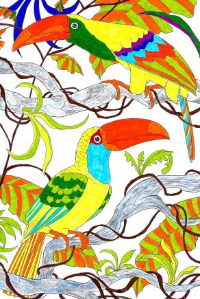 . . . Colorando Assieme a Tany !!! 14