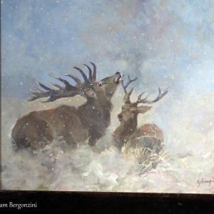 ANIMALS ART al Club La Meridiana di Modena