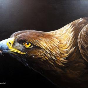 ANIMALS ART al Club La Meridiana di Modena