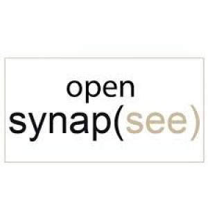Synap(see) - Exhibition