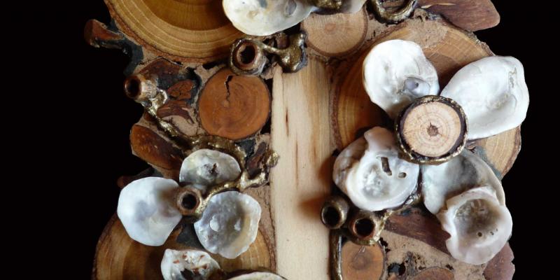 ARTE/NATURA: da Max Ernst all'Arte nel Borgo ARTE/NATURA: da Max Ernst all'Arte nel Borgo