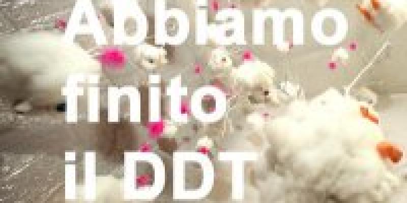 Abbiamo finito il DDT Abbiamo finito il DDT