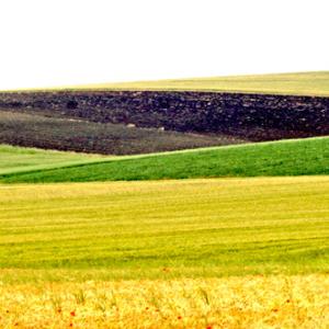 Analisi Illogica Analisi Illogica