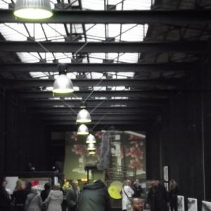 5 Elementi 5 Legno - Fuoco -Terra - Metallo - Acqua / Armonie e contrasti della natura attraverso l’Arte e il Feng shui 5 Elementi 5 Legno - Fuoco -Terra - Metallo - Acqua / Armonie e contrasti della natura attraverso l’Arte e il Feng shui