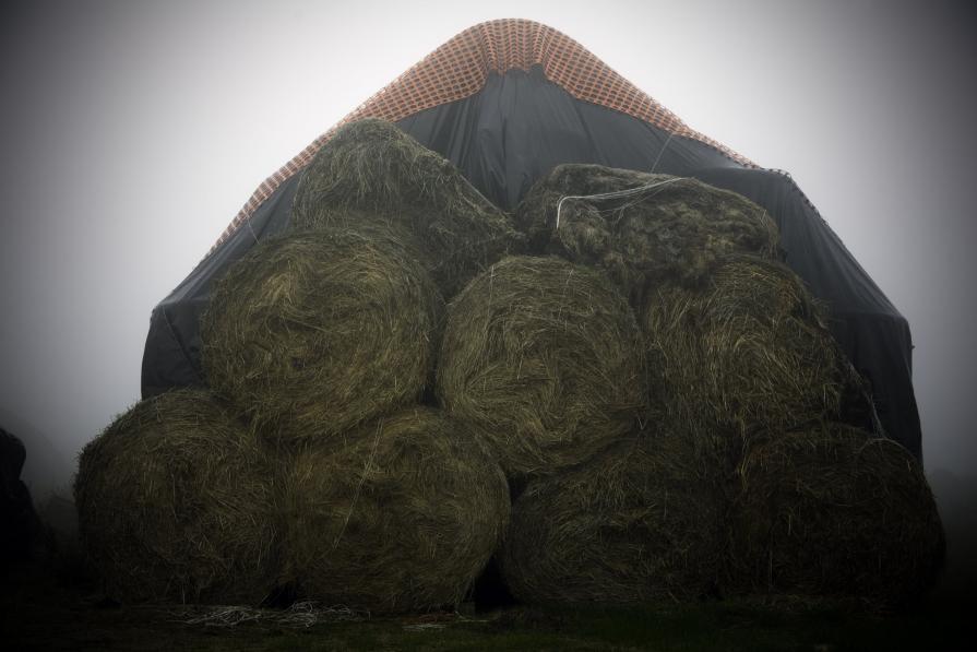 Attesa Silente (Quiet Wait) 2 Attesa Silente (Quiet Wait) 2