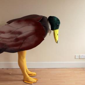 Love Ducking. Hanging out with a Duck.