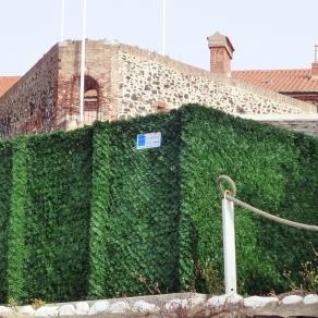 Camouflage naturel !