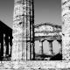 Paestum