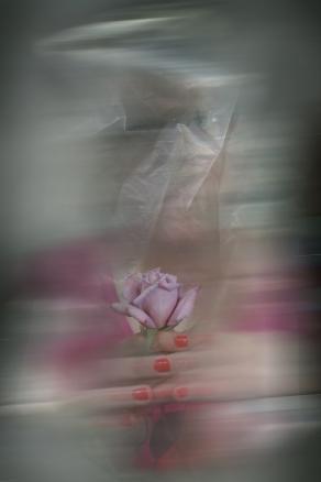 il ritratto di un fiore