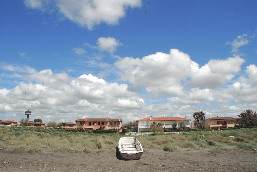 Spring on a solitary beach