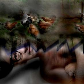 siamo concime per pollik.