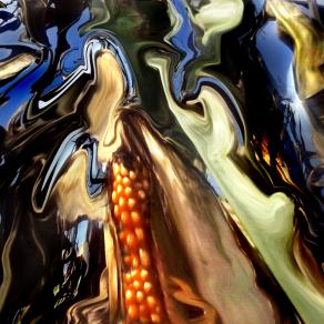 la natura è matura nella via dei miracoli.