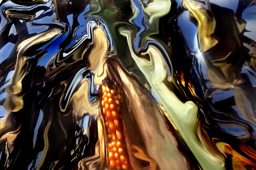 la natura è matura nella via dei miracoli.