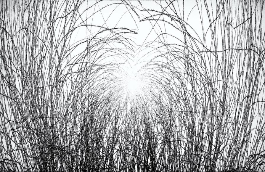 La luce è ovunque tu puoi "sentirla" (The light is everywhere you can feel it) 