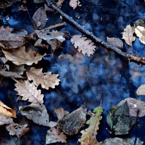 Ciò che adesso ci divide ,un giorno ci unirà ( What they now divides us, one day will unite us ) 