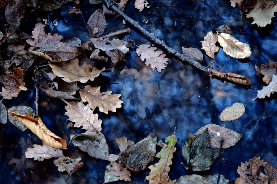 Ciò che adesso ci divide ,un giorno ci unirà ( What they now divides us, one day will unite us ) 