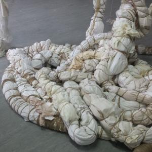 The Elephant in the Room The Elephant in the Room