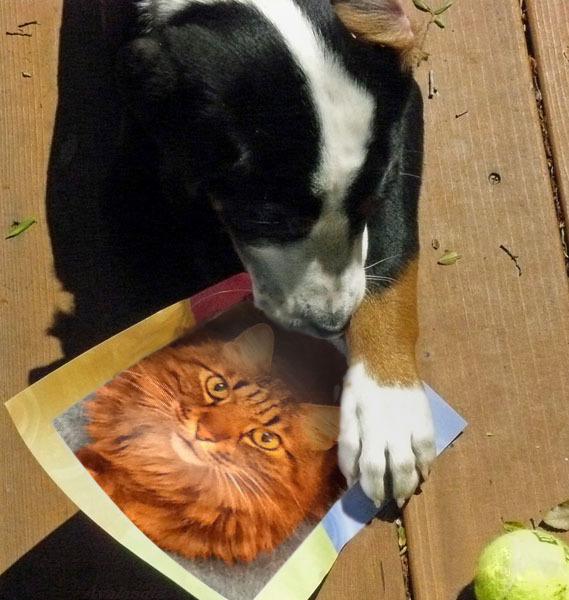 e passando lo ruberà !!! . . . 