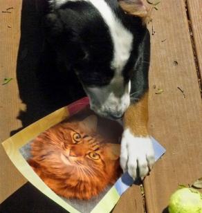 e passando lo ruberà !!! . . . 