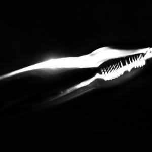 Nutcracker Nutcracker