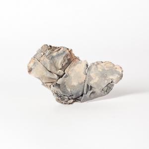 Quel che resta del mare