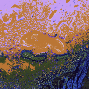 Alba nel Monde Distorti