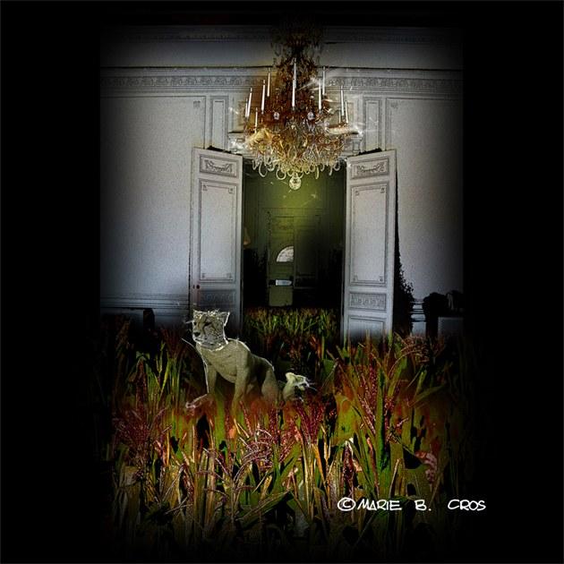 ANIMAL_FACTORY VIII @ Hotel Salomon de Rothschild Paris.jpg