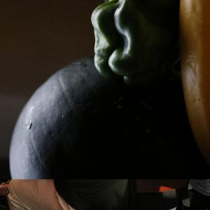 ROUND UP, HARVEST MAN ROUND UP, HARVEST MAN