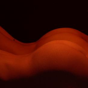 Omaggio a Silvia Fasani, "Luce".