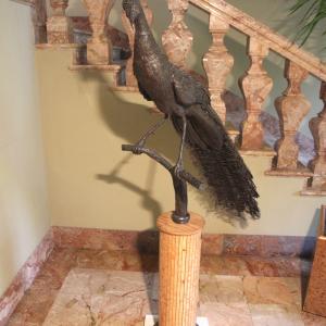 LE FOTO DI ALTRA NATURA IN VILLA fino al 25 ottobre CLUB LA MERIDIANA (MO)