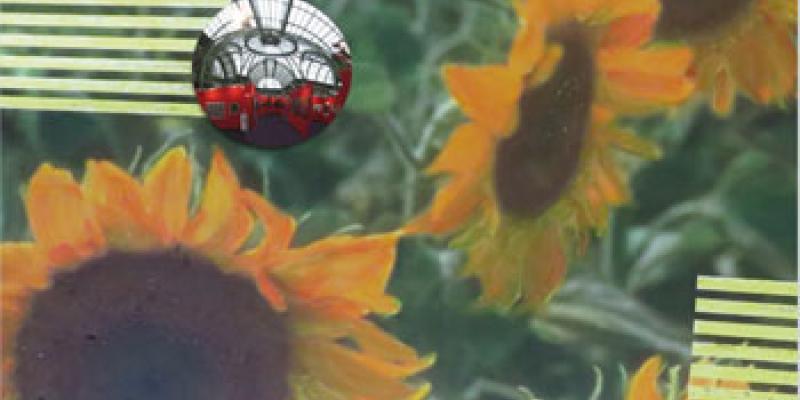 MARY BRILLI - OpenArtCode Venice