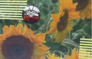 MARY BRILLI - OpenArtCode Venice